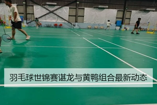羽毛球世锦赛谌龙与黄鸭组合最新动态